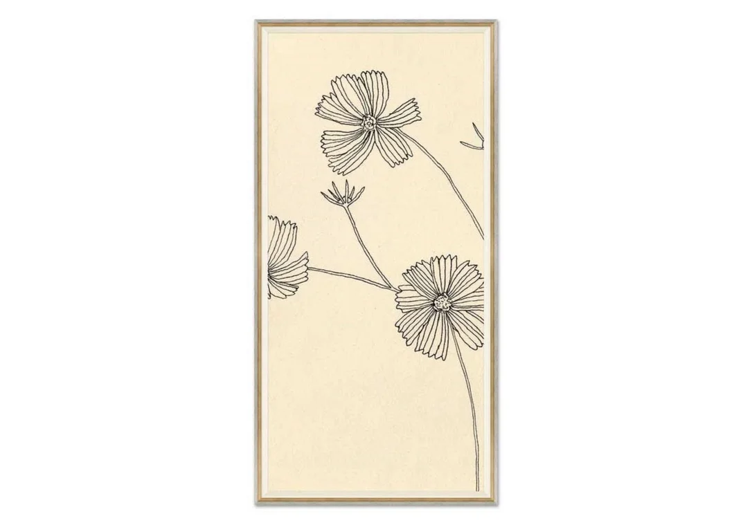 alicelanehome2353082