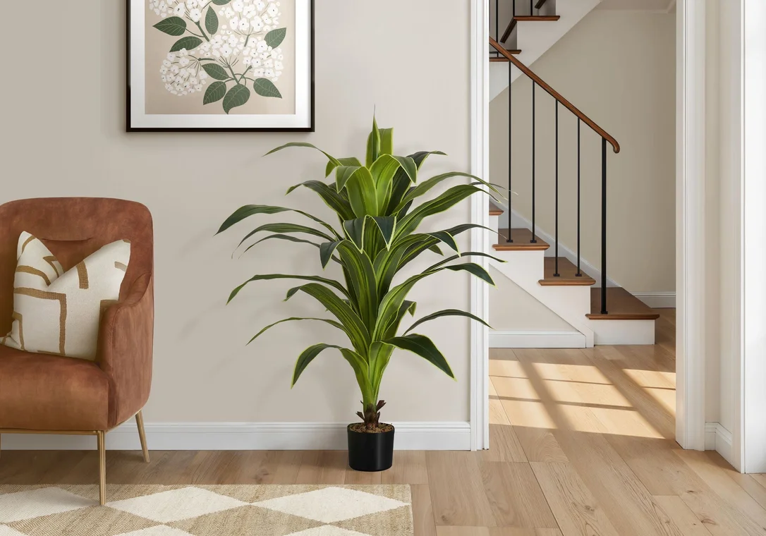 betterhomefurniture2178807