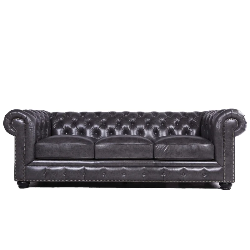 dreameehome12311665