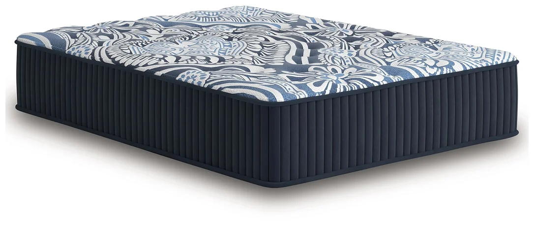dreameehome12329462
