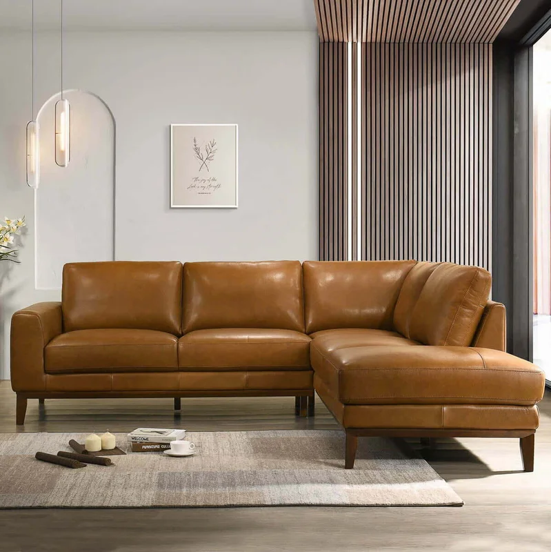 dreameehome2181869
