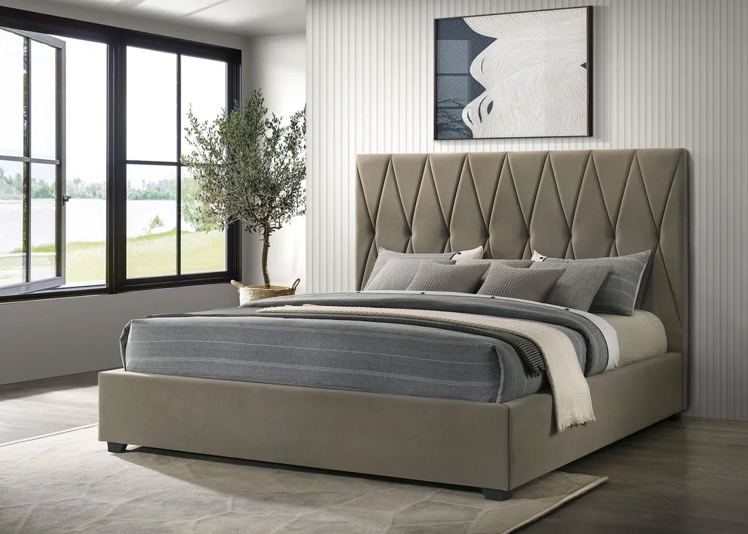 dreameehome3239409