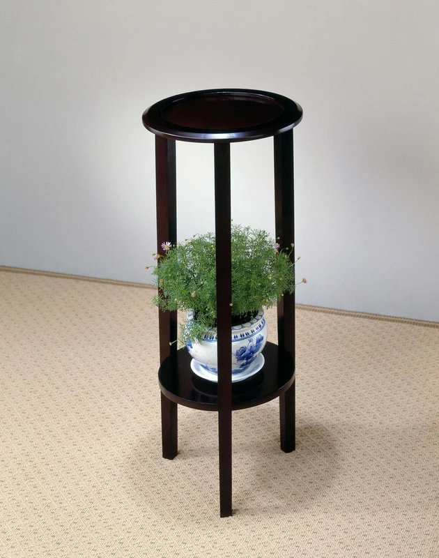 dreameehome3255006