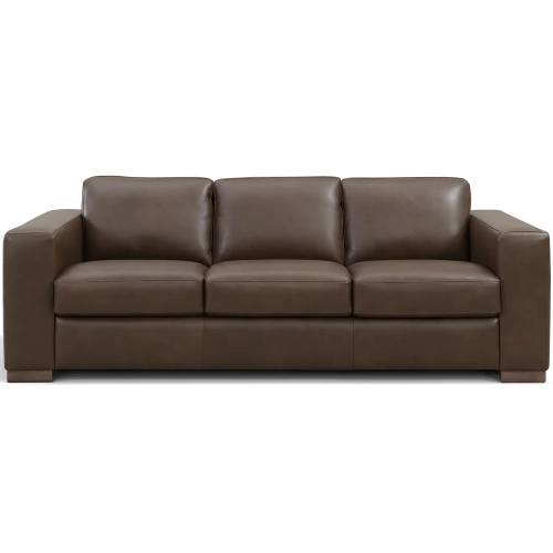 dynamichomedecor-120300