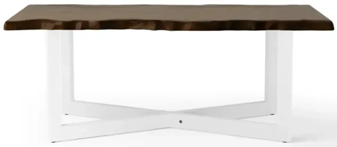 furniture1-290832