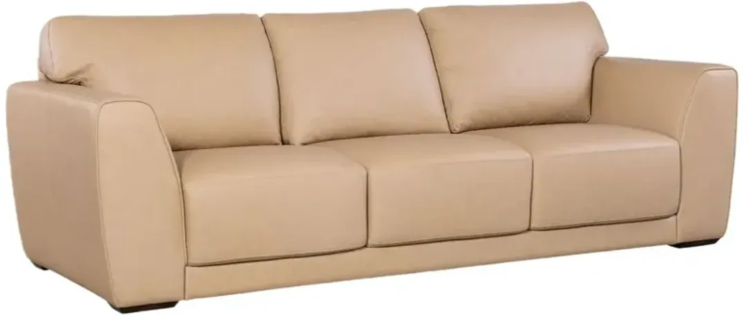 furniture2-300888