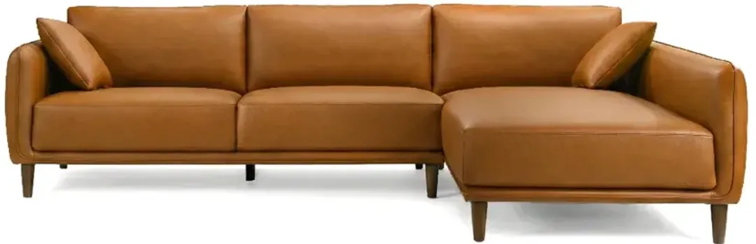 furniture2-311968
