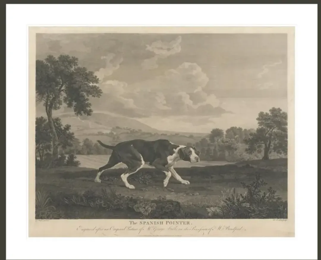 furniture3-317194