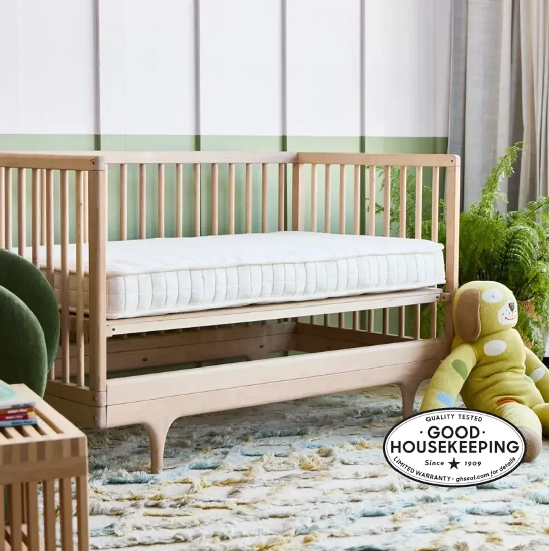 furniture4-481299