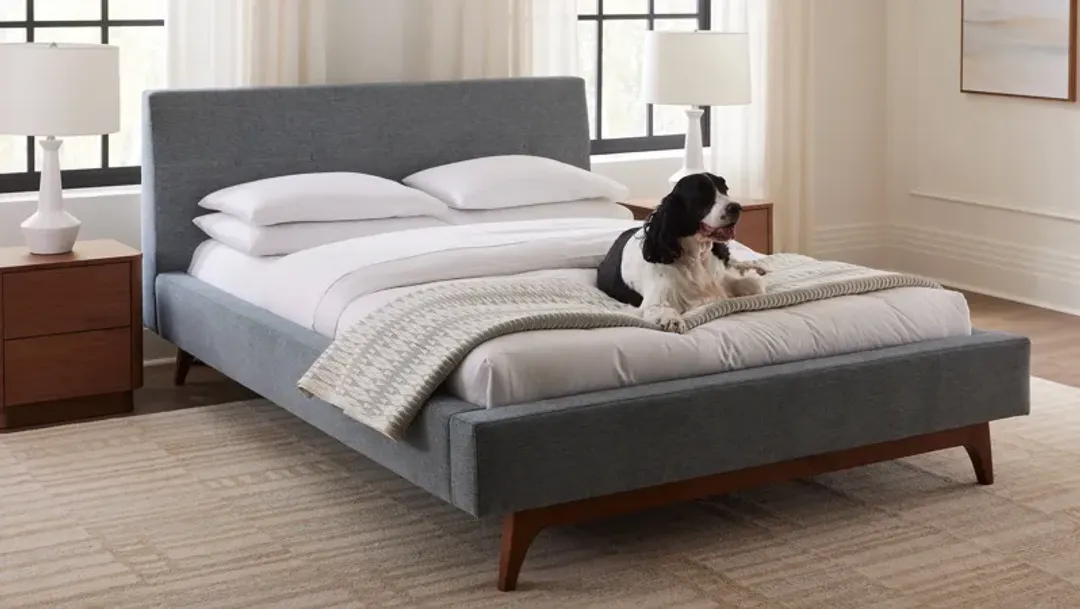 furniture4-491613