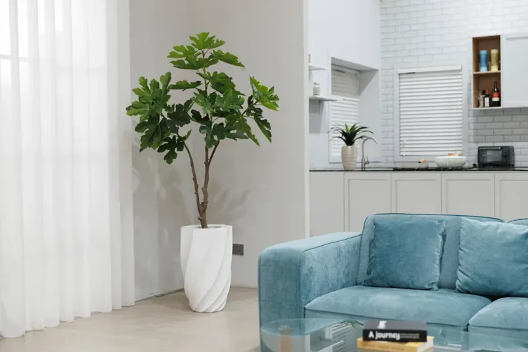 furniture4-529597
