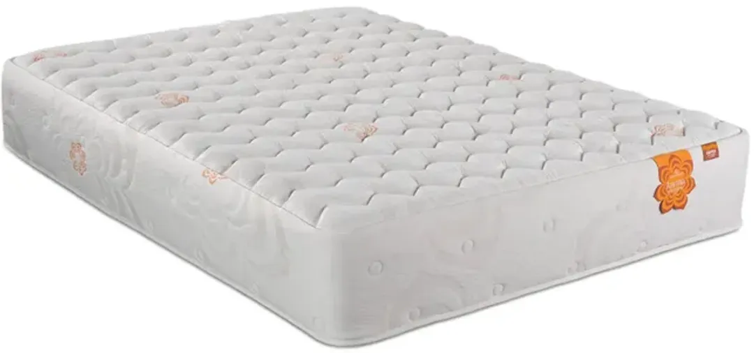 furniture6-428301