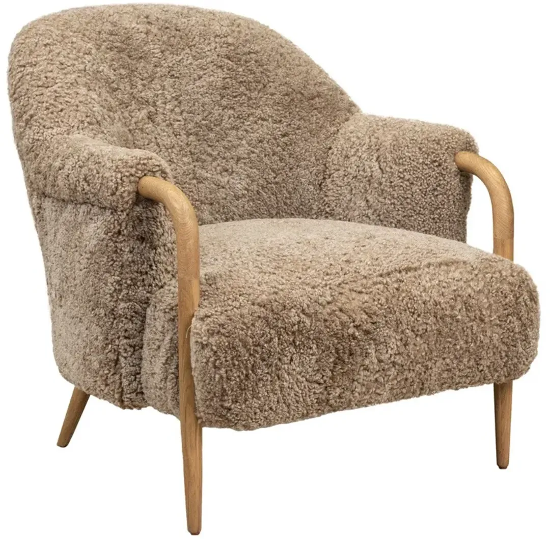 furniture6-483339