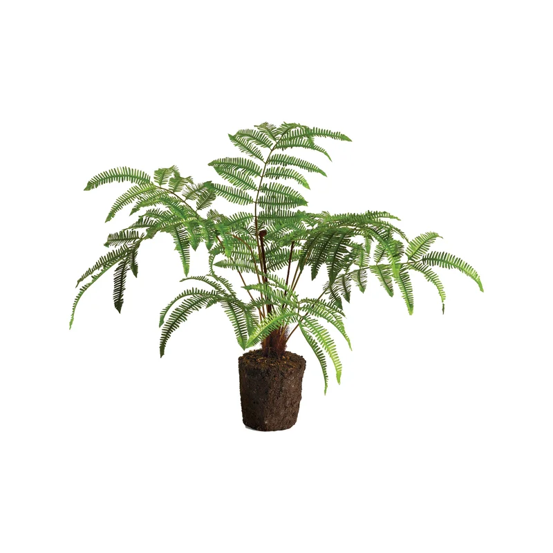 puresaltinteriors189586