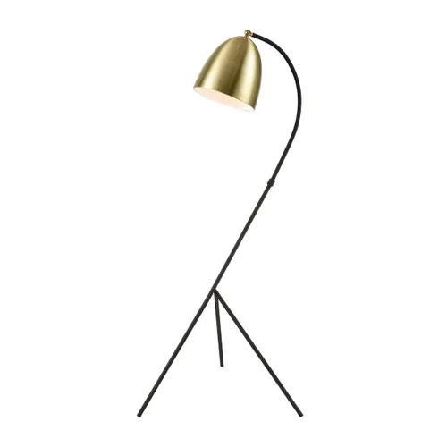 studiolx3-59535