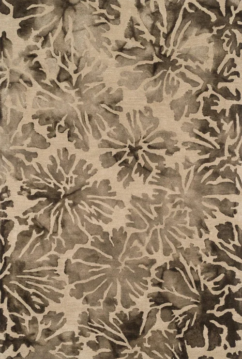 studiolx5-16514