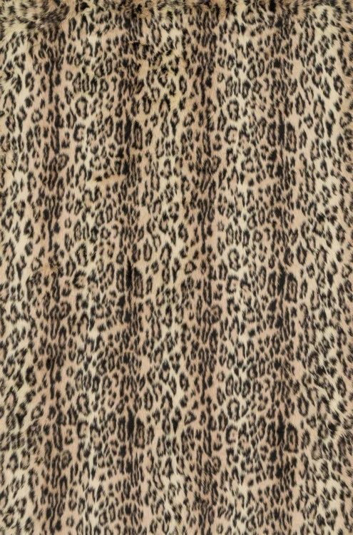 studiolx5-41733